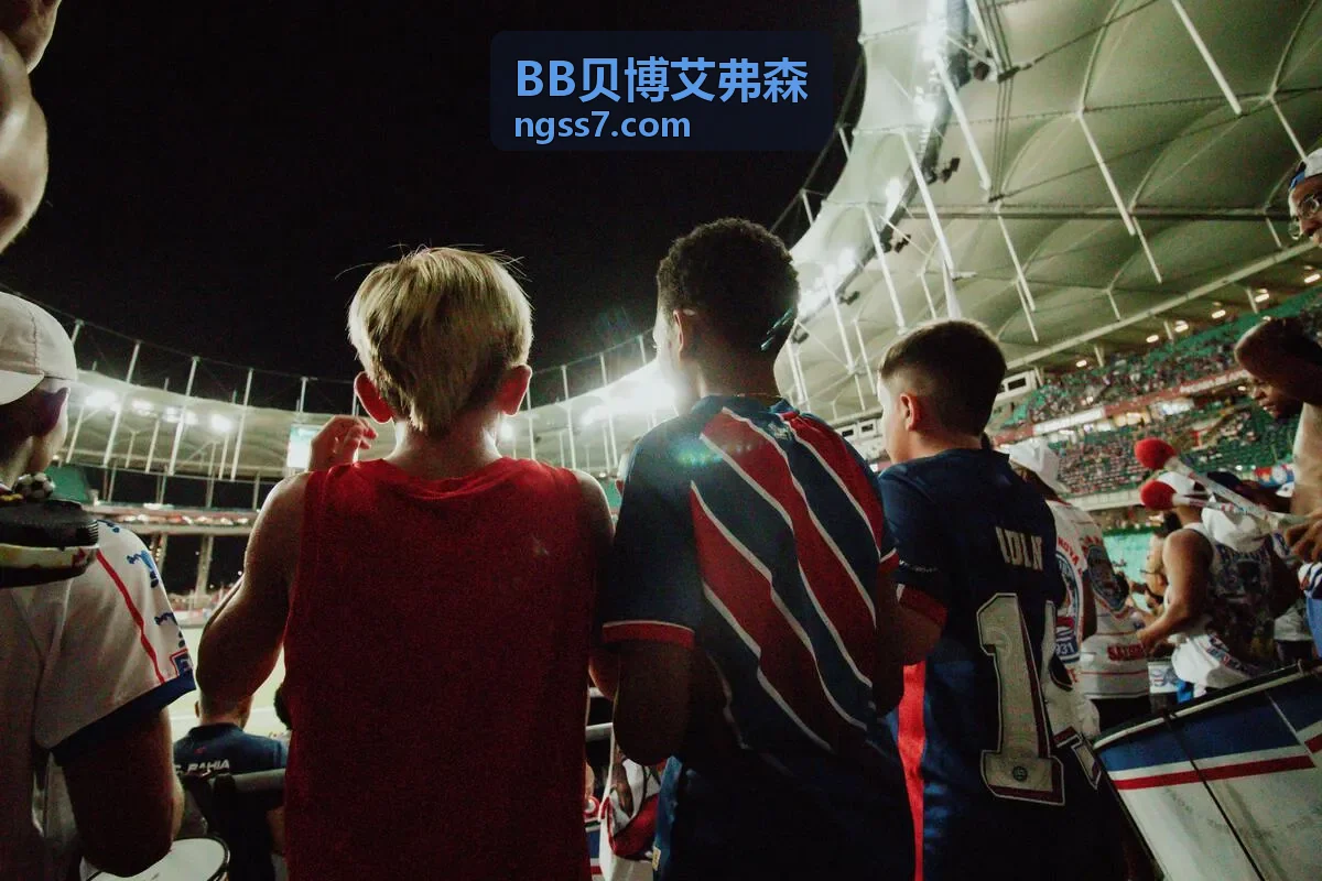 BB贝博艾弗森智能营销引擎